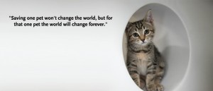 Adopt-with-Quote
